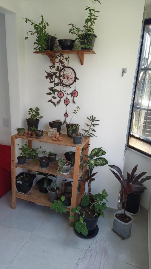 Fique No Bairro Mais Encantador De Salvador - Ba Apartamento Exterior foto